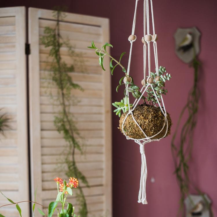 Cotton Hemp Rope Planter Hanger with natural white cord and moss ball RusticReach on Tampa Home & Garden Store