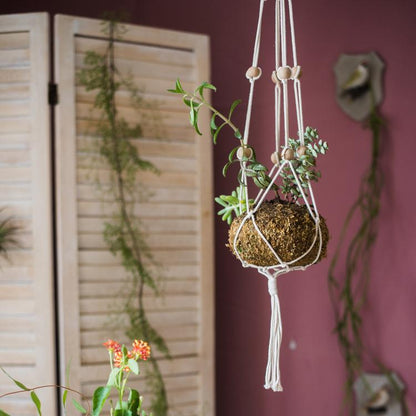 Cotton Hemp Rope Planter Hanger with natural white cord and moss ball RusticReach on Tampa Home & Garden Store