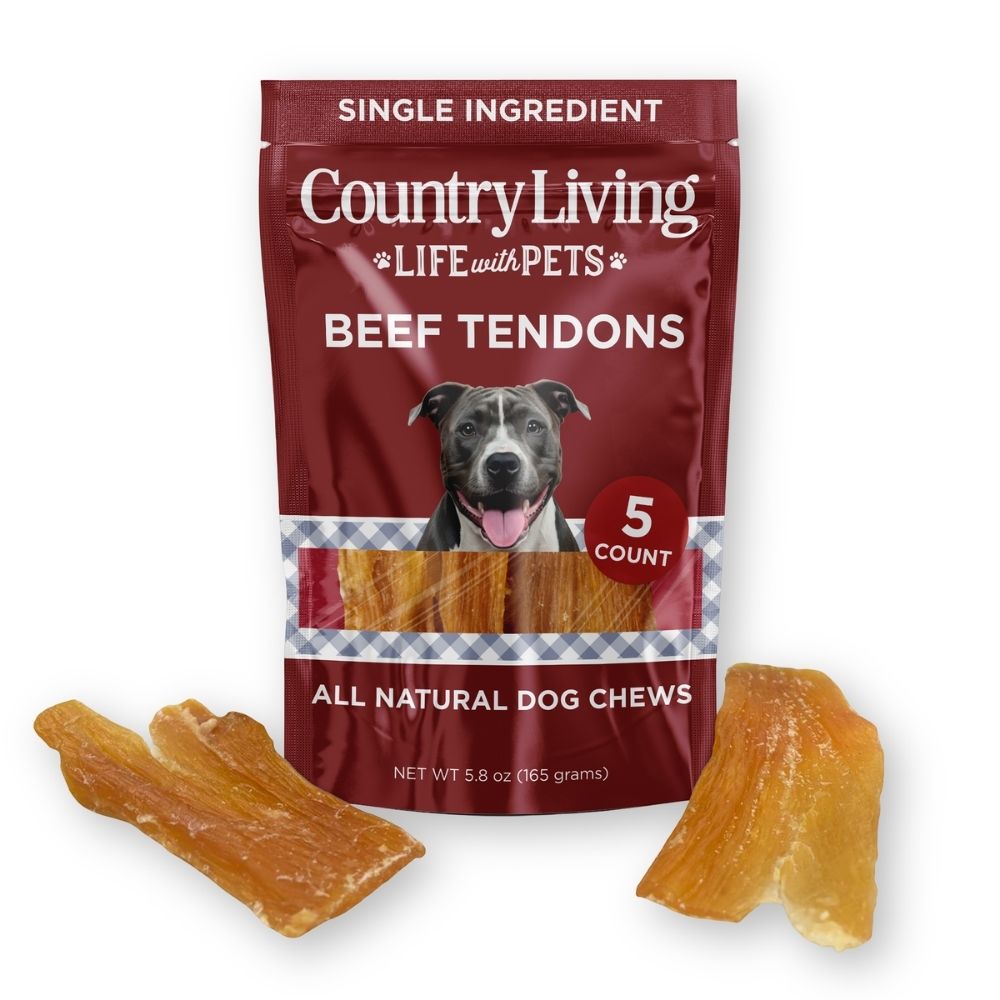 Friandises à mâcher pour chiens Country Living, tendons de dos de bœuf (10-18 cm) – Sachet de 5 – 100 % naturelles, longue durée, riches en protéines – Ingrédient unique, sans céréales