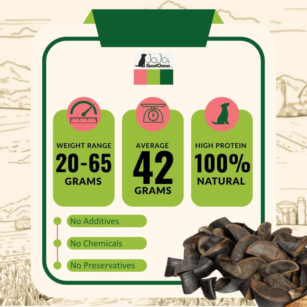 Masticables de pezuñas de vaca totalmente naturales para perros: premios crujientes premium para la salud dental (25 unidades)