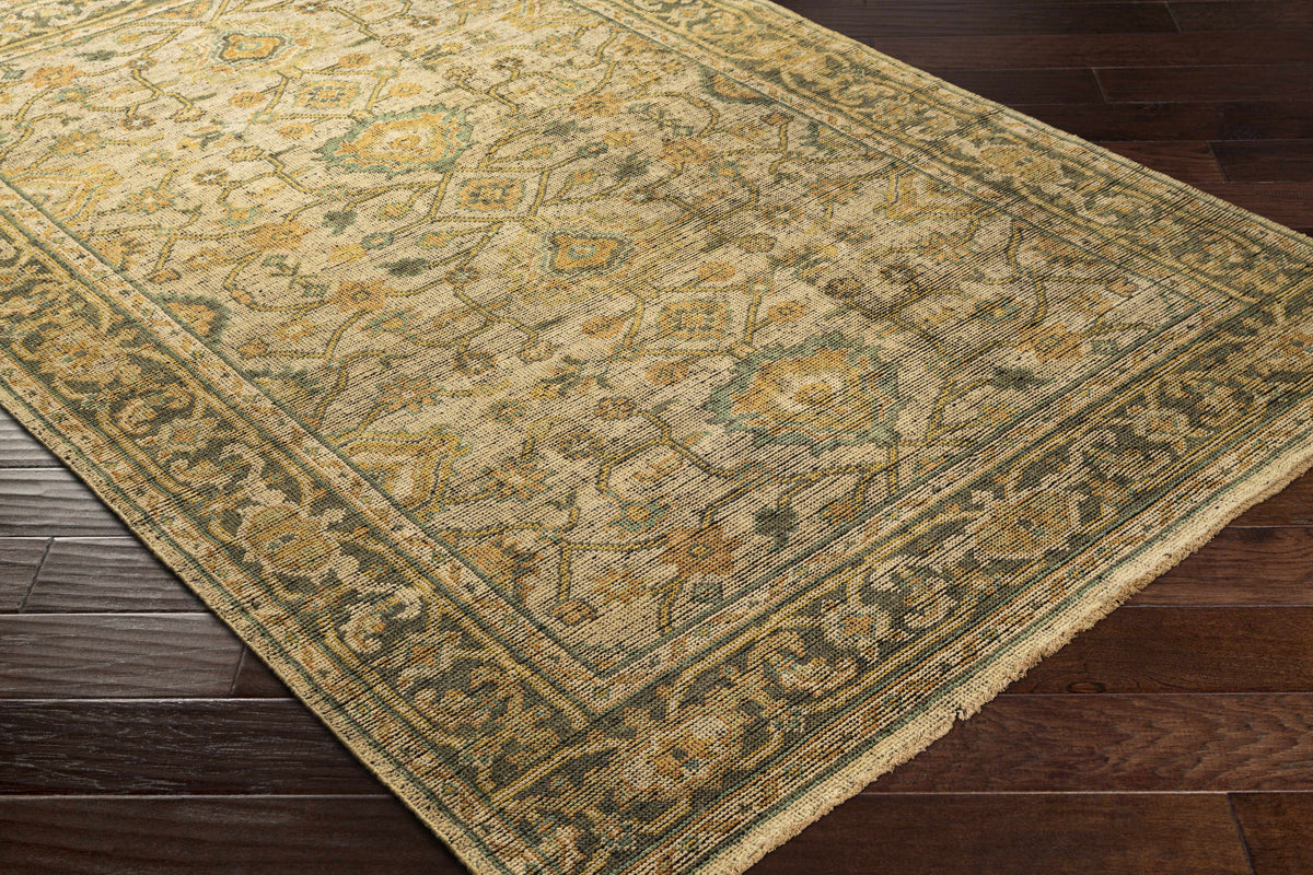 Coylton Area Rug beige sage gold oriental pattern Boutique Rugs clearance on Tampa Home & Garden Store