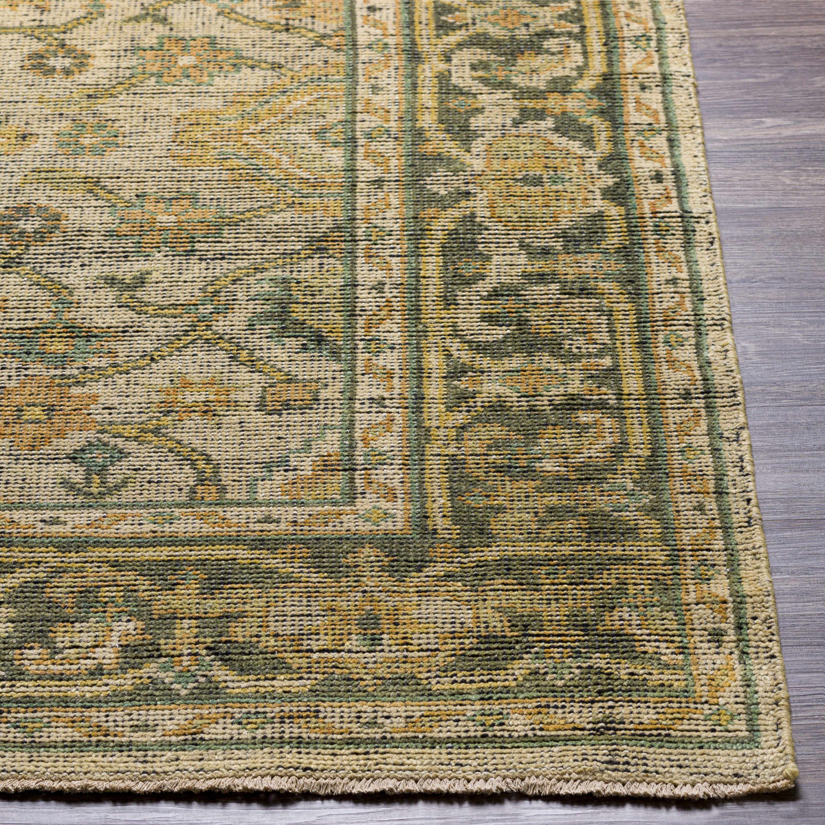 Coylton Area Rug Clearance by Boutique Rugs; beige field with green and gold border on Tampa Home & Garden Store