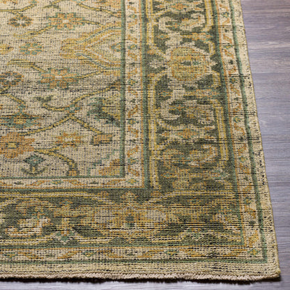 Coylton Area Rug Clearance by Boutique Rugs; beige field with green and gold border on Tampa Home & Garden Store