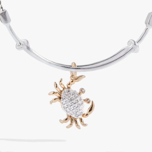 Textured Crab Charm Bangle by ALEX AND ANI, two-tone bracelet with crystal crab on Tampa Home & Garden Store