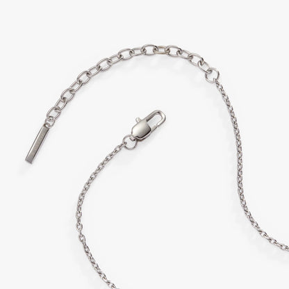 Crystal Heart Pendant Necklace, silver-tone chain with ALEX AND ANI branding on Tampa Home & Garden Store