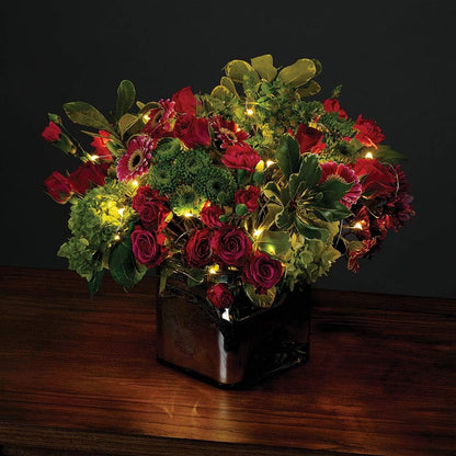 USB 50 LED (16 foot) Multifunction Starry Lights - Cool White