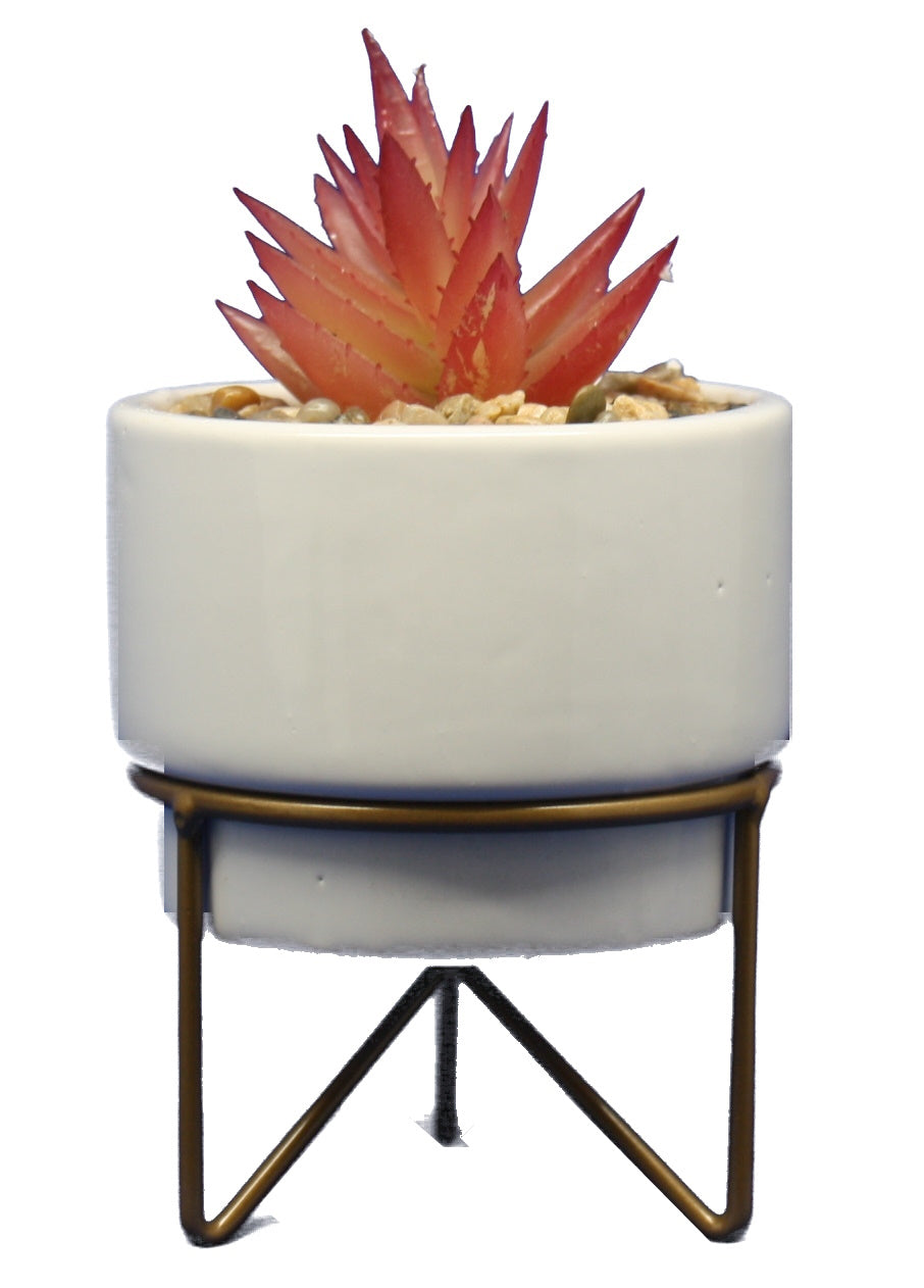 Potted Succulent on Metal Stand -