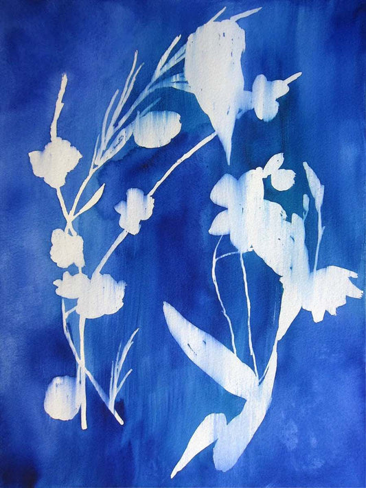 Cyanotype Art Print – Archival Wall Art - Tampa Home & Garden Store