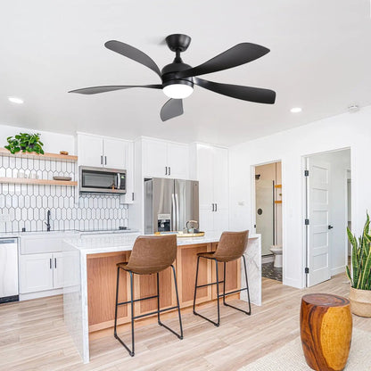 Ceiling fan with integrated light and DC motor, five black blades, black housing on Tampa Home & Garden Store
