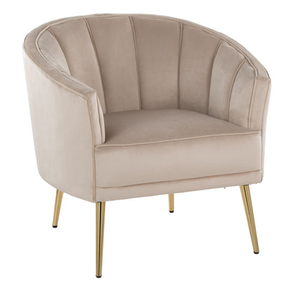 Contemporary glam accent chair with tufted beige velvet upholstery and gold legs on Tampa Home & Garden Store