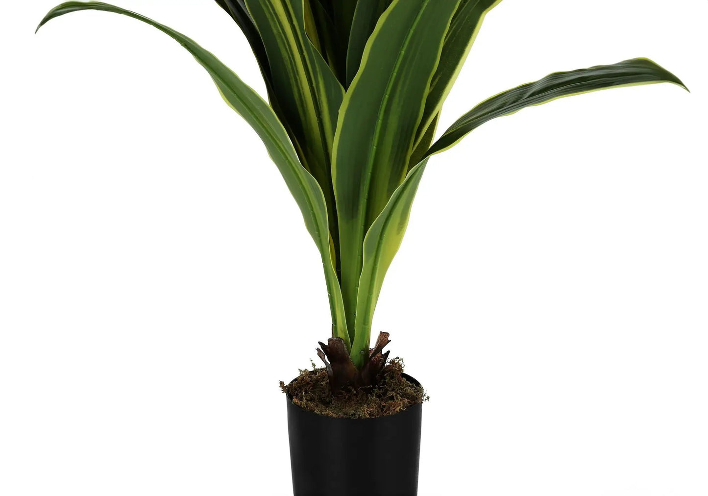 Dracaena tree, 47in tall artificial plant in a black pot with moss base for indoor greenery on Tampa Home & Garden Store