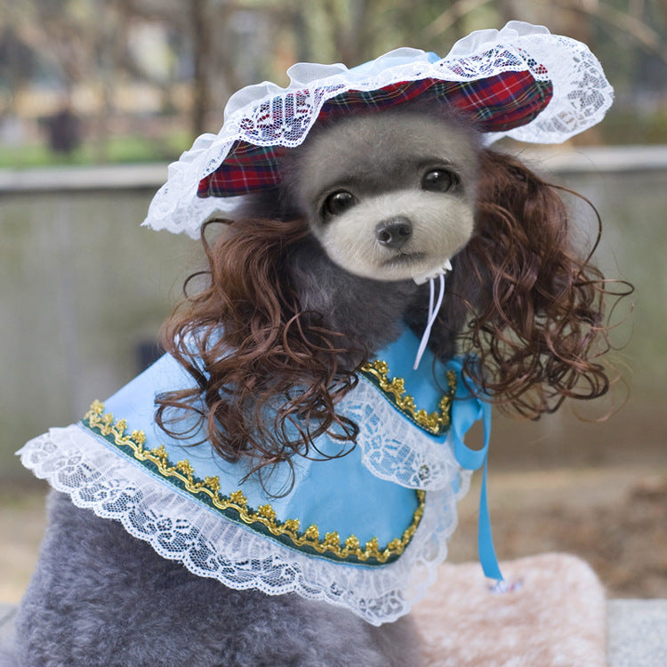 Pet Zen dog clothing set: blue cape with white lace trim and gold accents, plaid lace hat on dog on Tampa Home & Garden Store