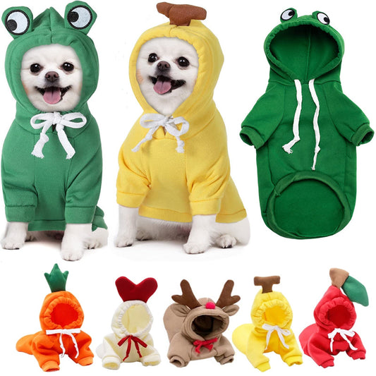 Pet Zen fruit dog hoodies for small dogs featuring green frog and yellow chick outfits on Tampa Home & Garden Store