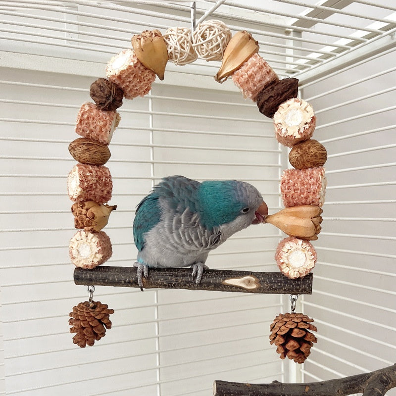 Wooden parrot swing with natural log perch and beaded ring, blue-green parrot perched on Tampa Home & Garden Store