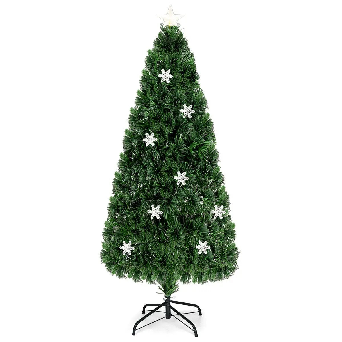- image on Tampa Home & Garden Store