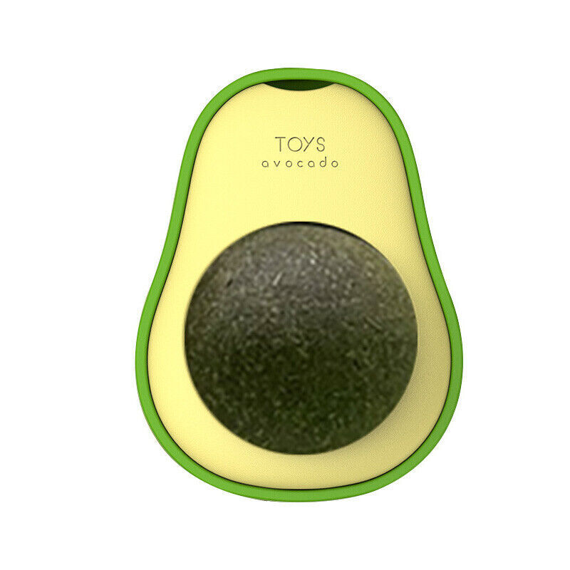 Avocado catnip toy with green rind and yellow flesh, Sell My Stuff on Tampa Home & Garden Store