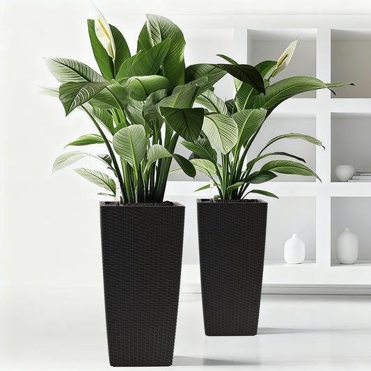 Pack of 2 square planters with automatic watering system in black wicker finish by HouseOfZazla on Tampa Home & Garden Store