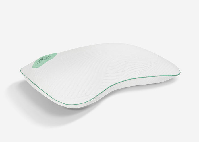 BedGear Level Cuddle Curve Backrest Pillow in white with green piping, HouseOfZazla on Tampa Home & Garden Store