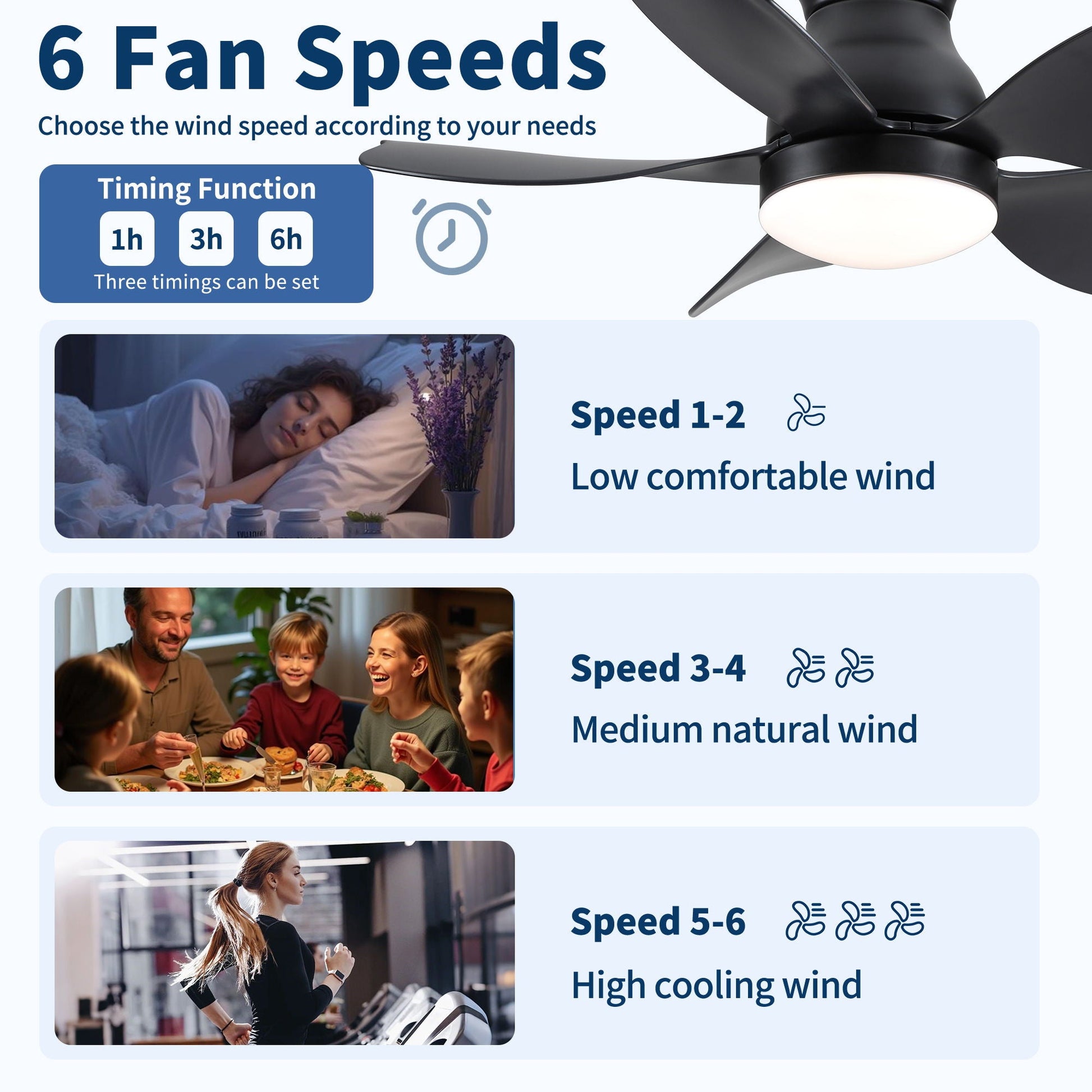 Low profile flush mount ceiling fan with light, black blades on banner showing 6 speeds on Tampa Home & Garden Store