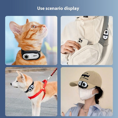 Pet Recorder HD Mini Camera Suction by Sell My Stuff on cat and dog collars scenes on Tampa Home & Garden Store