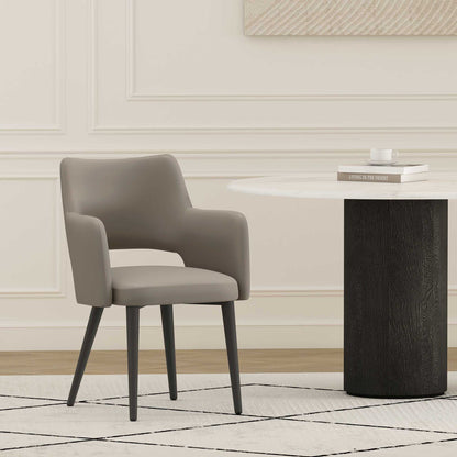 Modern Tremont Dining Armchair and Steel Frame