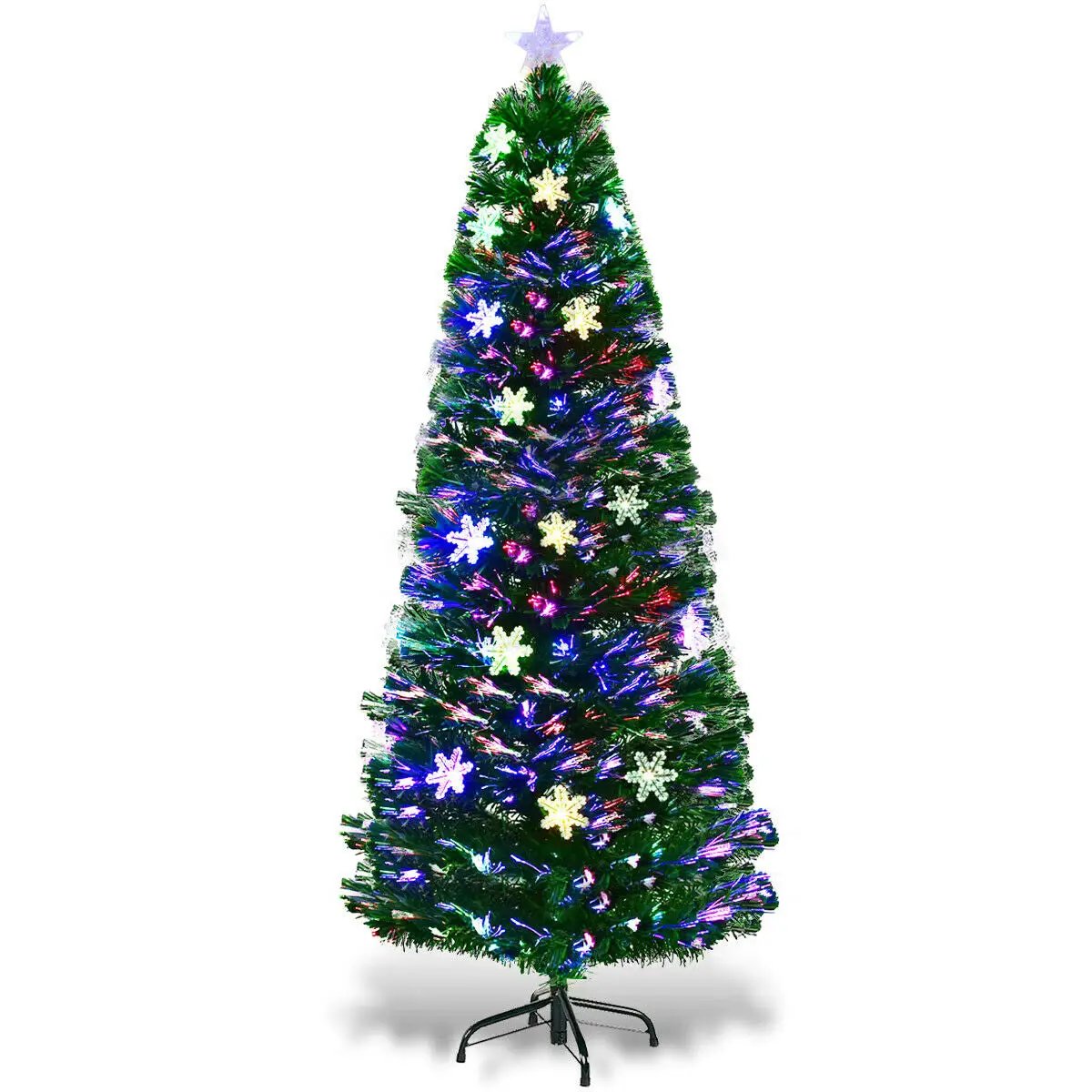 - image on Tampa Home & Garden Store