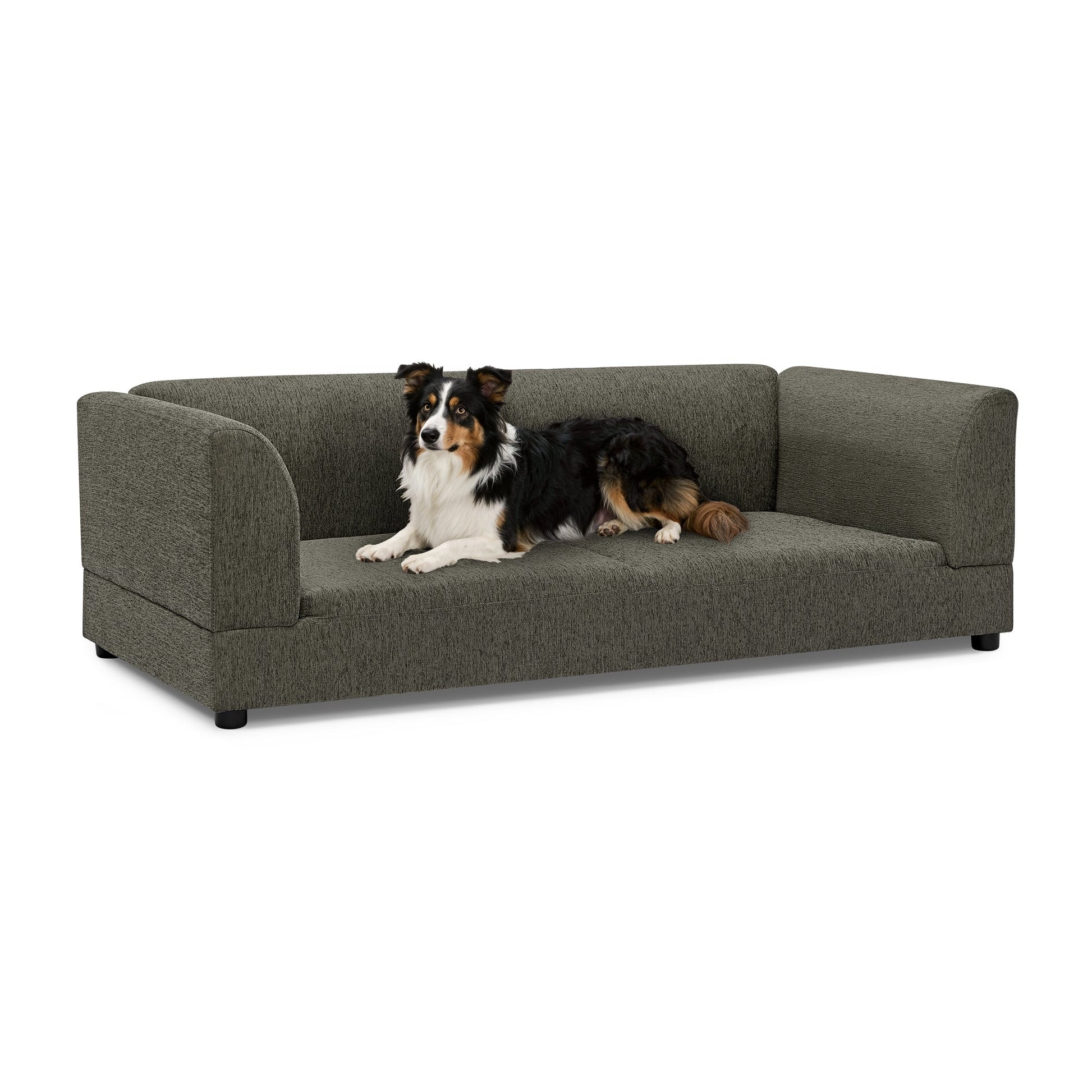 Comfortable Oversized Pet Sofa for Medium/Large Dogs in gray fabric by HouseOfZazla on Tampa Home & Garden Store