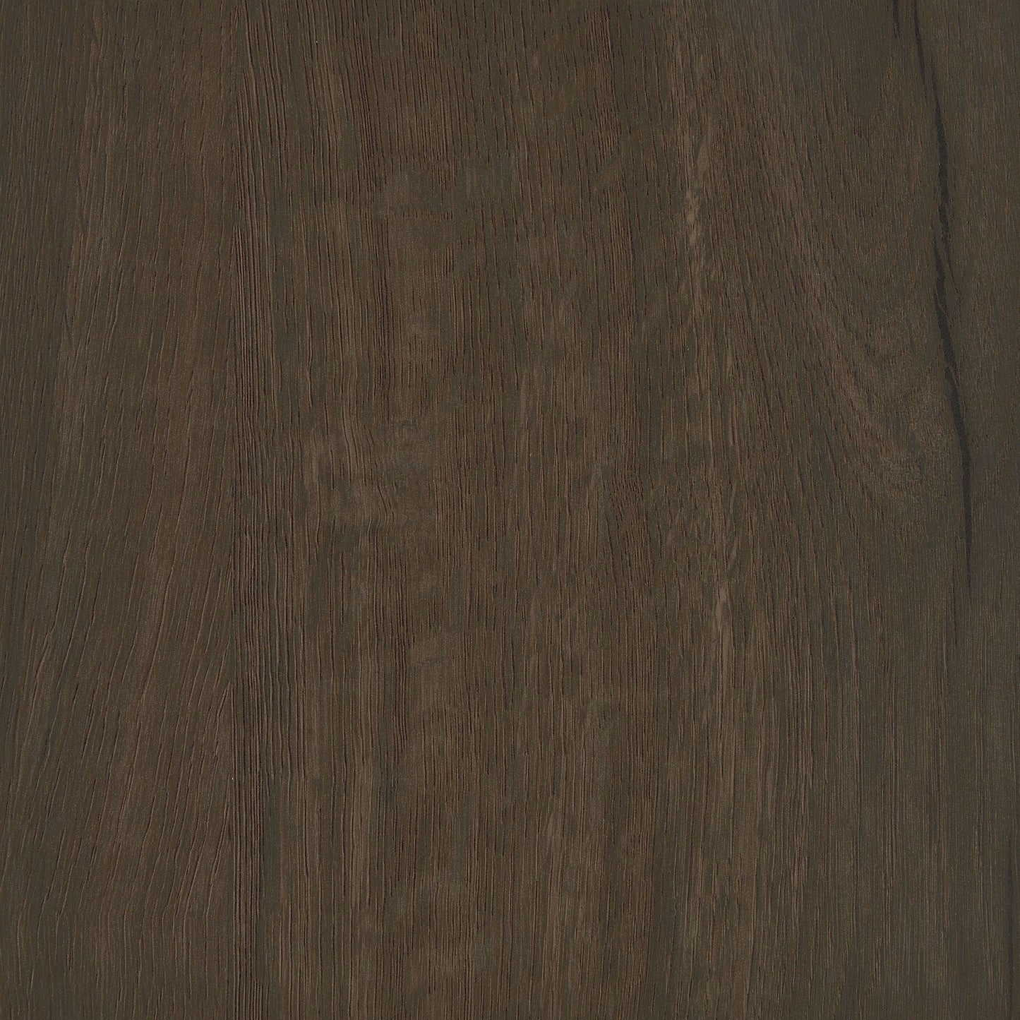 Clackamas 2-door storage cabinet dark wood grain finish by HouseOfZazla on Tampa Home & Garden Store
