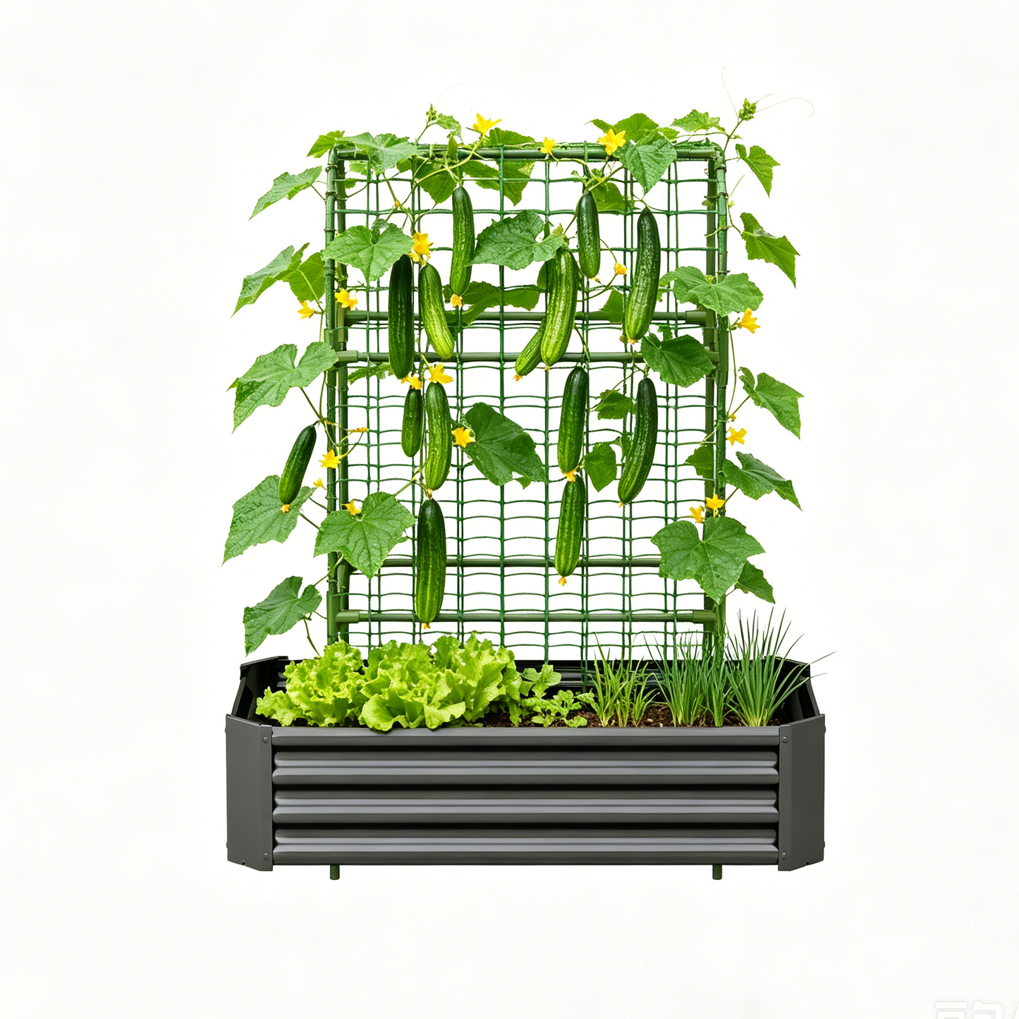 Outdoor Raised Garden Bed and Trellis Planter