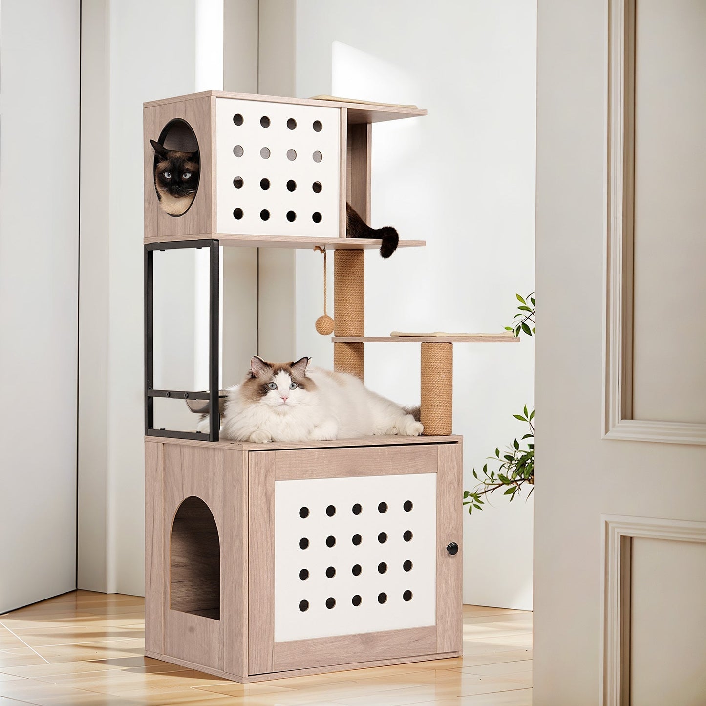 Cat Tree with Litter Box Enclosure and Large Hammock, wood panels, 2 cats on Tampa Home & Garden Store