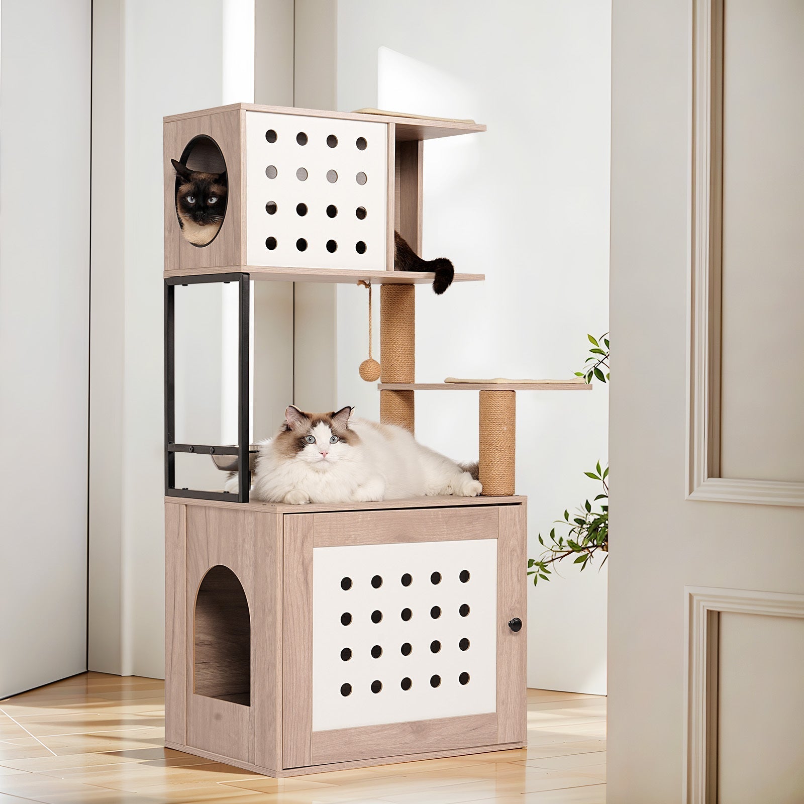 Cat Tree with Litter Box Enclosure and Large Hammock, wood panels, 2 cats on Tampa Home & Garden Store