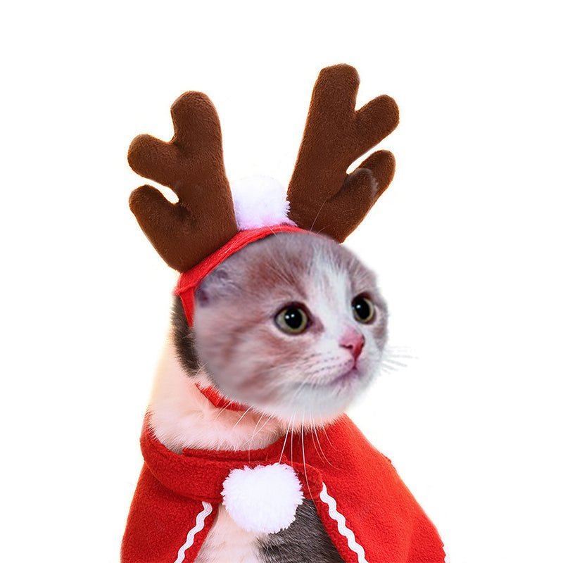 Cat costume with red Christmas cape and brown reindeer antlers for festive pet disguise on Tampa Home & Garden Store