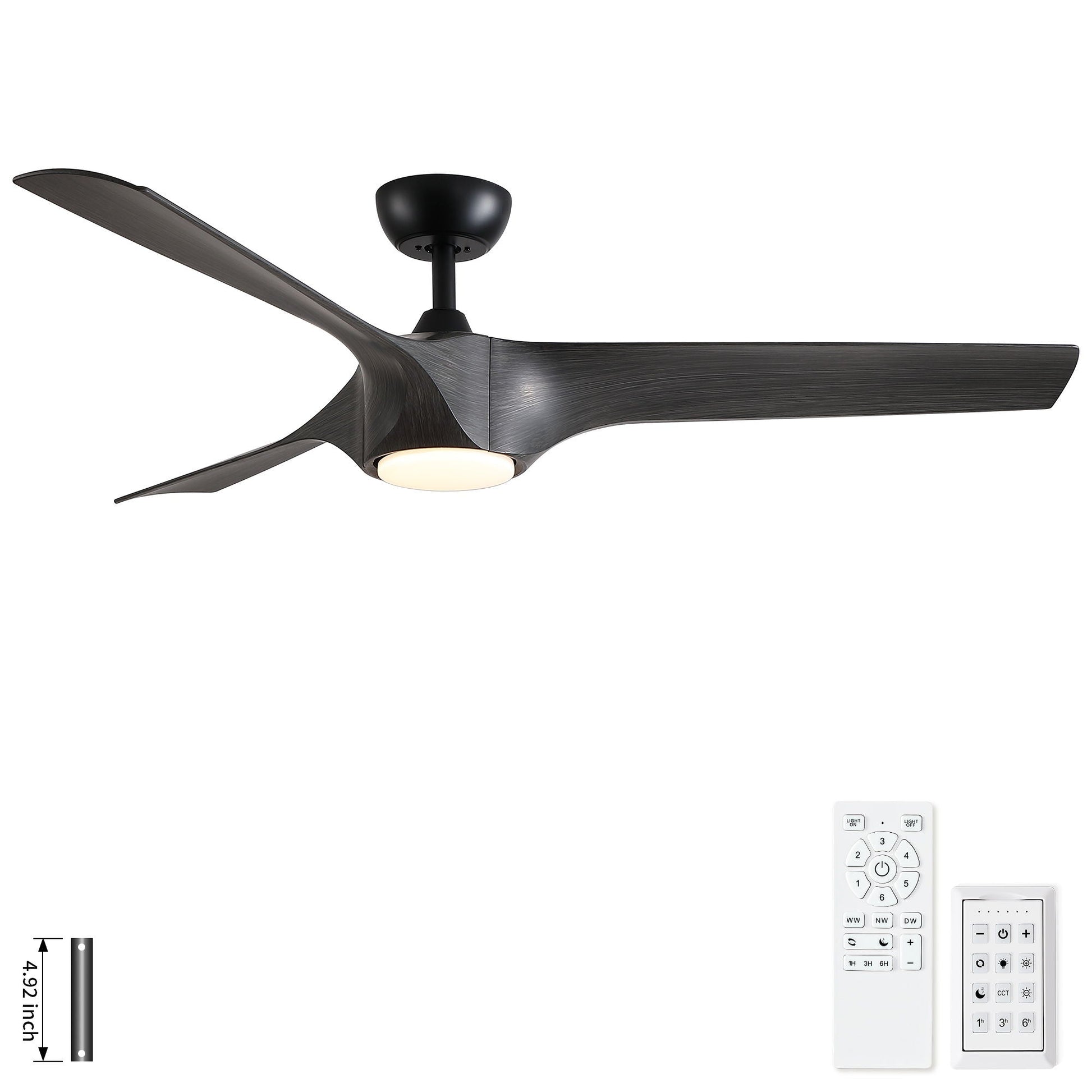 Ceiling fan with ABS blades by HouseOfZazla reversible quiet motor and built-in light on Tampa Home & Garden Store