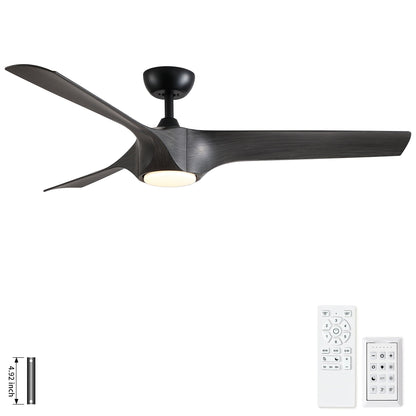 Ceiling fan with ABS blades by HouseOfZazla reversible quiet motor and built-in light on Tampa Home & Garden Store