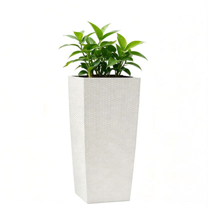 Indoor Outdoor Planter With Automatic Watering System white square planter with green leaves on Tampa Home & Garden Store
