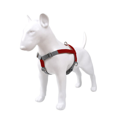 Leather dog chest harness set with gray nylon straps and red accents Pet Zen on Tampa Home & Garden Store