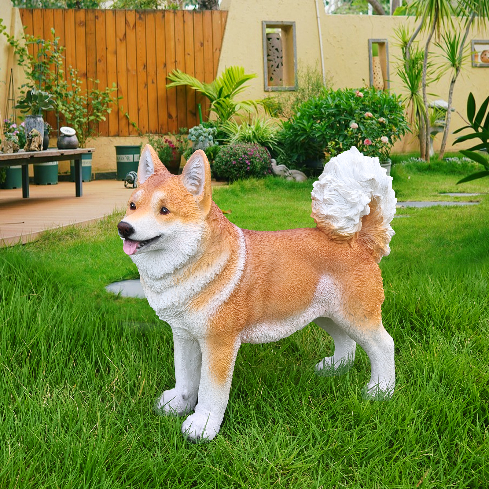 Lifelike Shiba Inu dog statue in tan and white resin for garden on Tampa Home & Garden Store