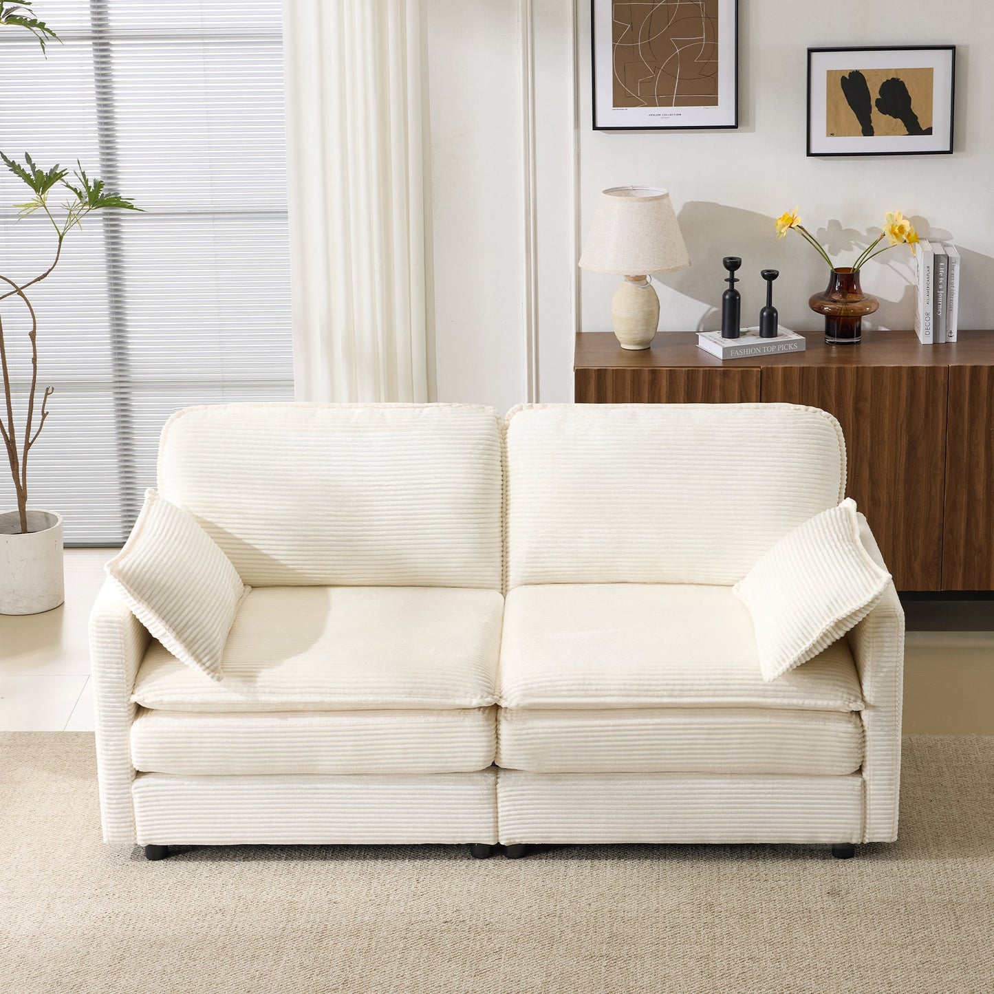 The Plush Cloud and Modular 2 Seater Sofa