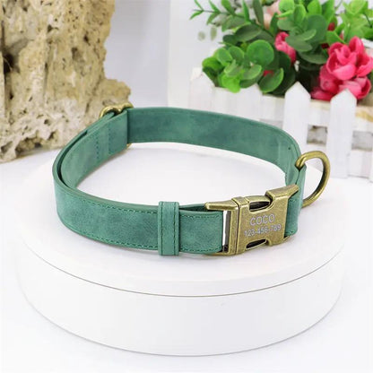 Teddy Corgi dog collar, green strap with brass buckle and ring, medium size by FLIPSTYLEZLLC on Tampa Home & Garden Store