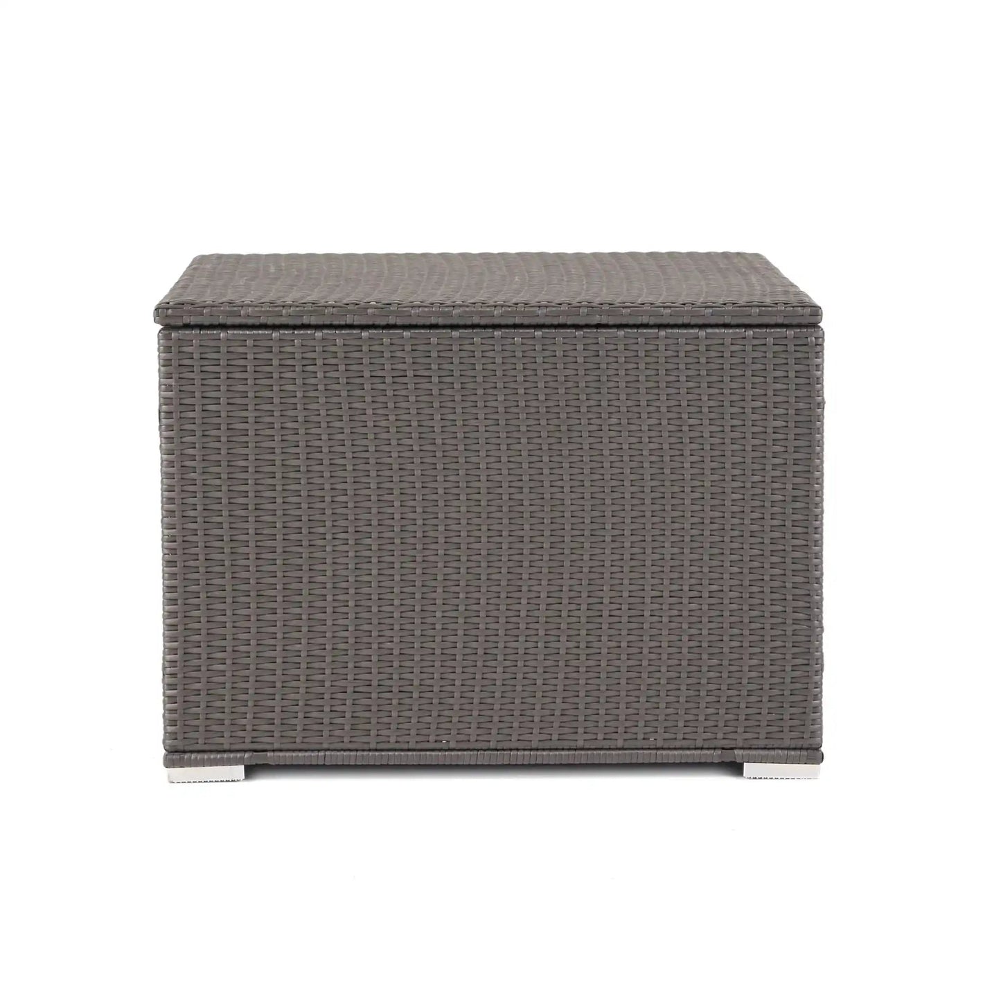 Santa Rosa Rattan Storage Table and Iron Frame