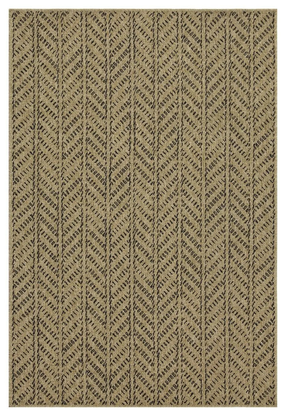 Earth Indoor Outdoor Area Rug for Living Rooms