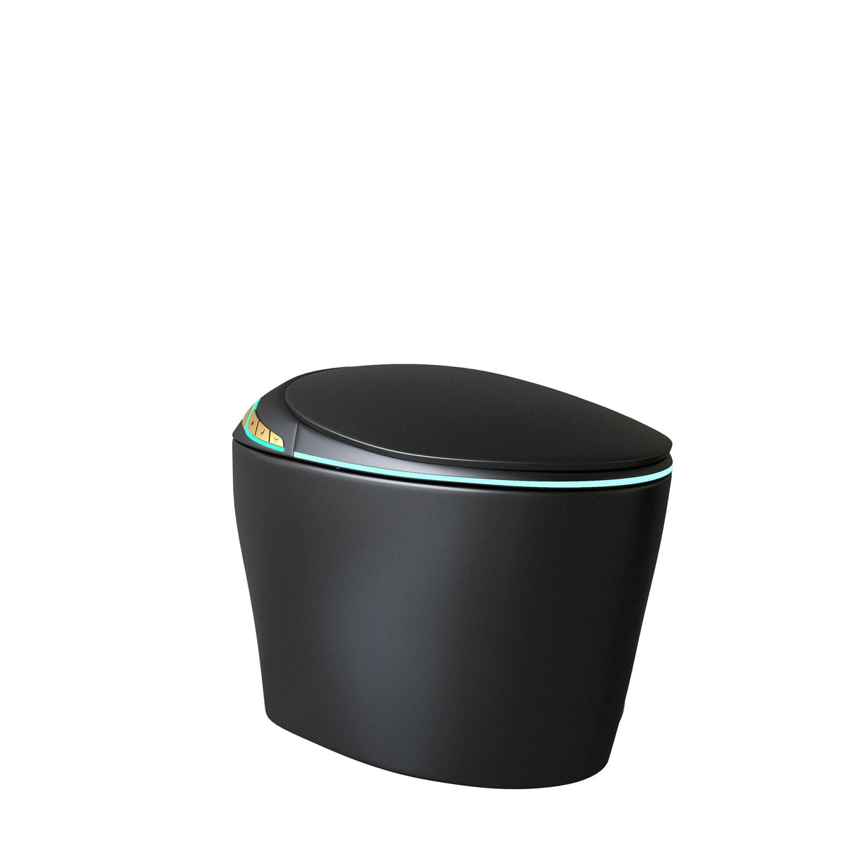 Smart Toilet with Ceramic Bidet, matte black finish, HouseOfZazla on Tampa Home & Garden Store