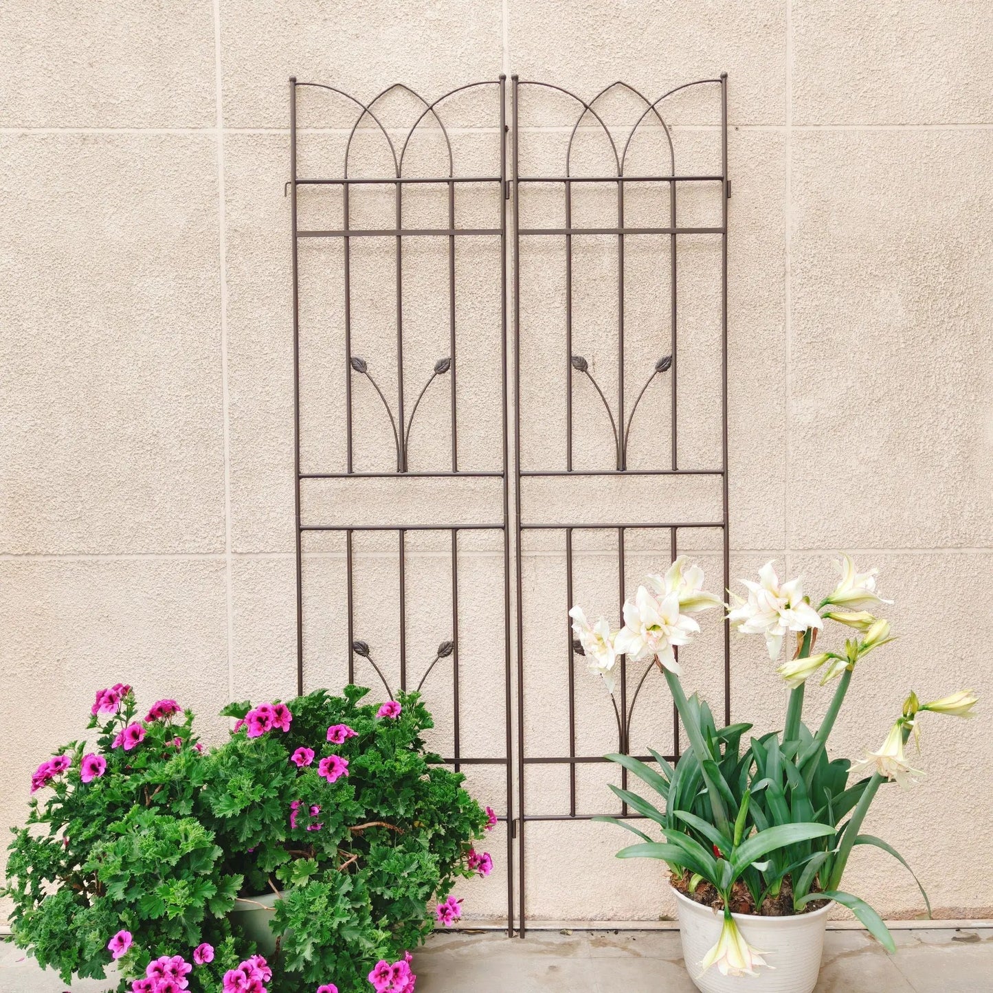Rustproof Metal Trellis For Climbing Plants