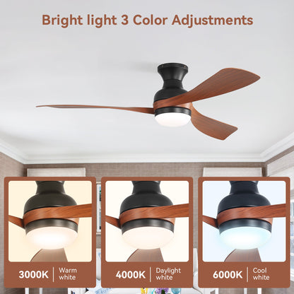 52-inch ceiling fan with lights and reversible DC motor by HouseOfZazla, wood blades on Tampa Home & Garden Store