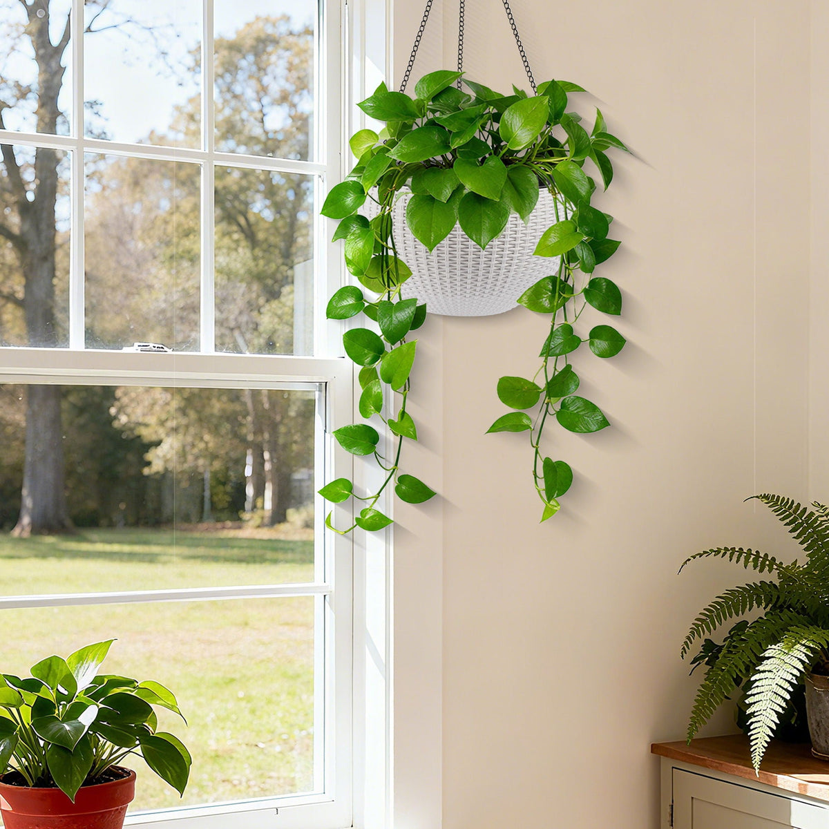 Self-Watering Hanging Planter by HouseOfZazla, white woven basket with trailing pothos on Tampa Home & Garden Store