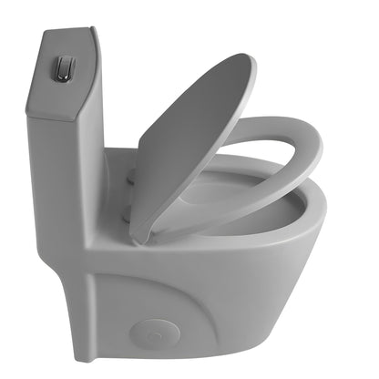 Gray ADA-height one-piece toilet with chrome flush lever on tank side on Tampa Home & Garden Store
