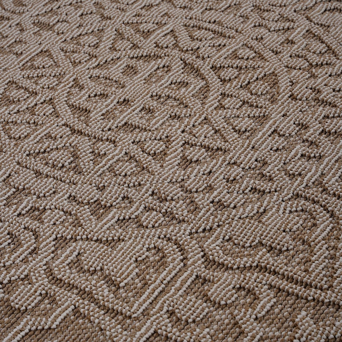 Guros Medallion Indoor and Outdoor Area Rug