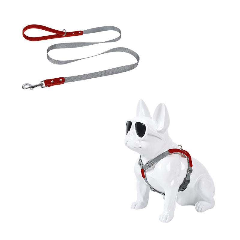 Pet Zen nylon dog harness and leash set in grey with red accents on dog wearing sunglasses on Tampa Home & Garden Store