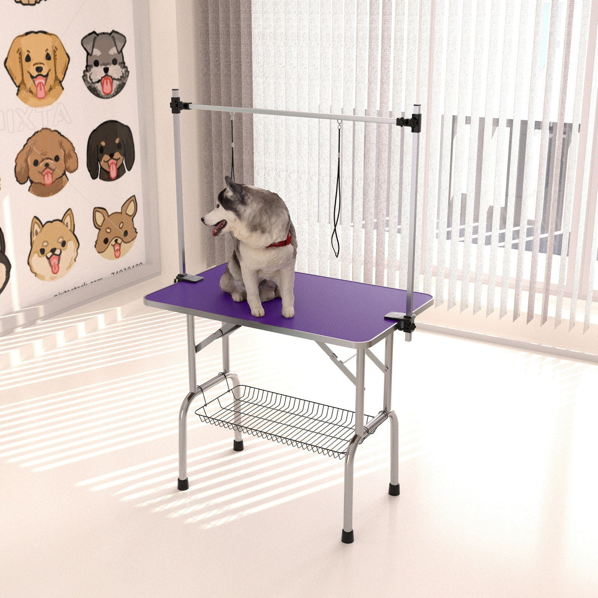 Folding pet grooming table with stainless steel frame, purple mat and adjustable arm; dog on table on Tampa Home & Garden Store