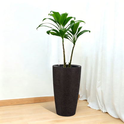 Tall 2 planters with water level monitor and auto watering in black wicker by HouseOfZazla on Tampa Home & Garden Store